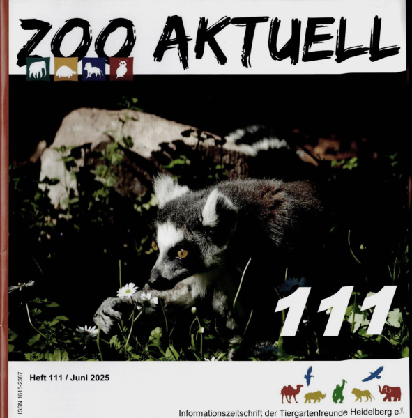 Zoo aktuell (Heidelberg) - Heft 111 - Juni 2025